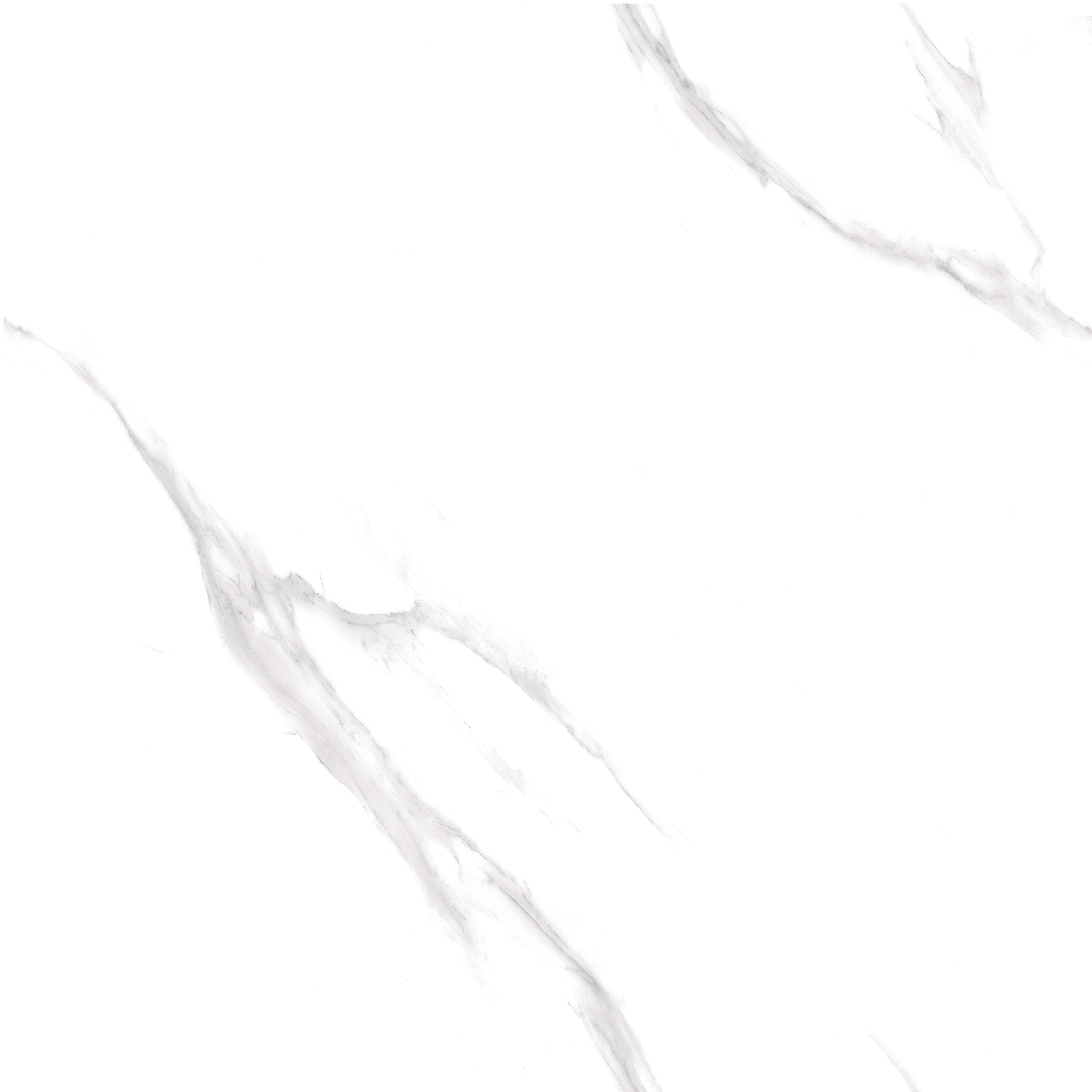 825TT00KLJ8031-8L819-LW4-250422S